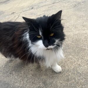 Meet your Posher, Shannon